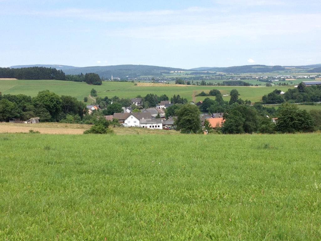 Haus Panoramablick Villa Medebach Kültér fotó